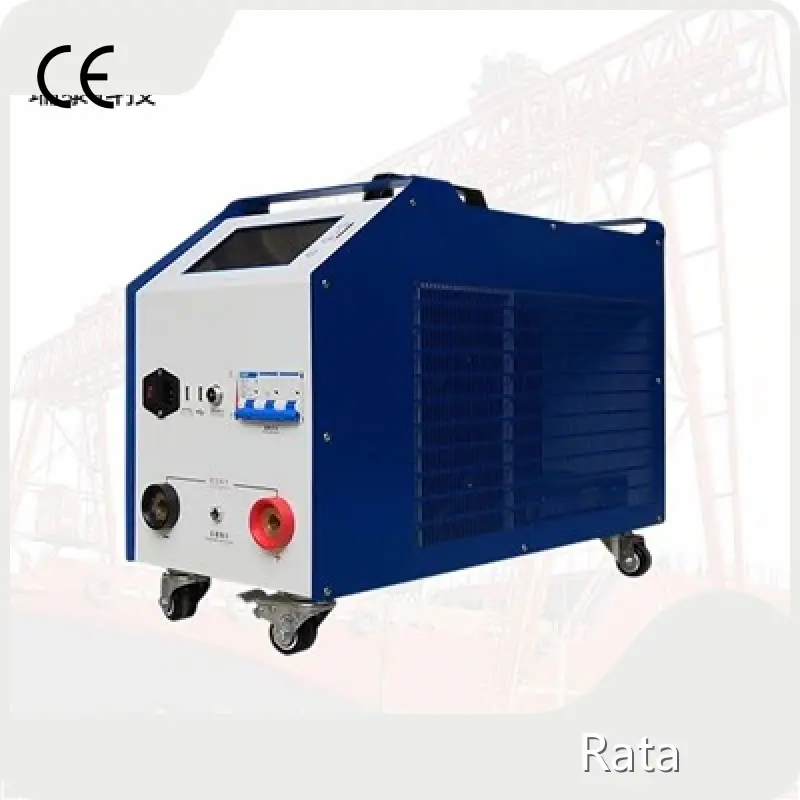 High Quality Battery Discharger Supplier in China Company 1