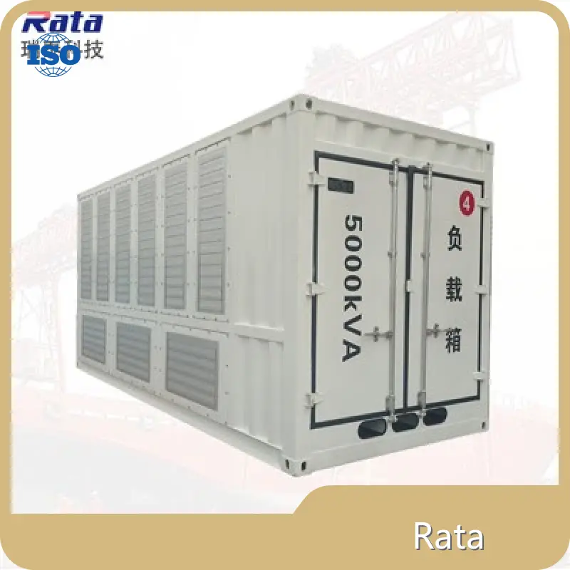 Компания Hot Selling Rata Load Bank Company-1 1